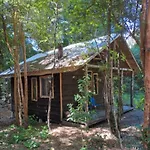 Cabana Rustica En El Bosque