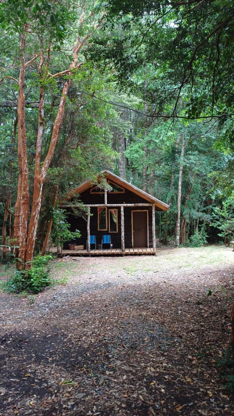 Rustica En El Bosque Coñaripe